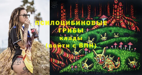 кокс Алексин