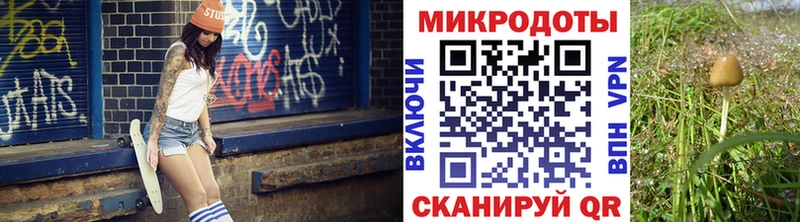 Галлюциногенные грибы мицелий  Рыбное 